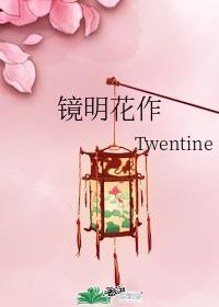 镜明花作 twentine番外