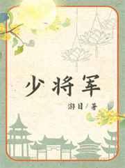 少将军衔工资待遇