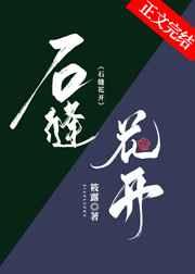 石缝花开全文免费阅读笔趣晋江