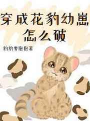 穿成花豹幼崽怎么破作者豹豹要抱抱