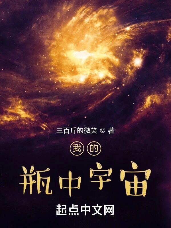 我的瓶中宇宙各境界详解