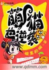 萌猫漫画图片