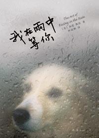 我在雨中等你中文版