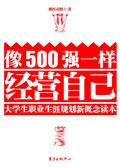 像500强一样经营自己的公司