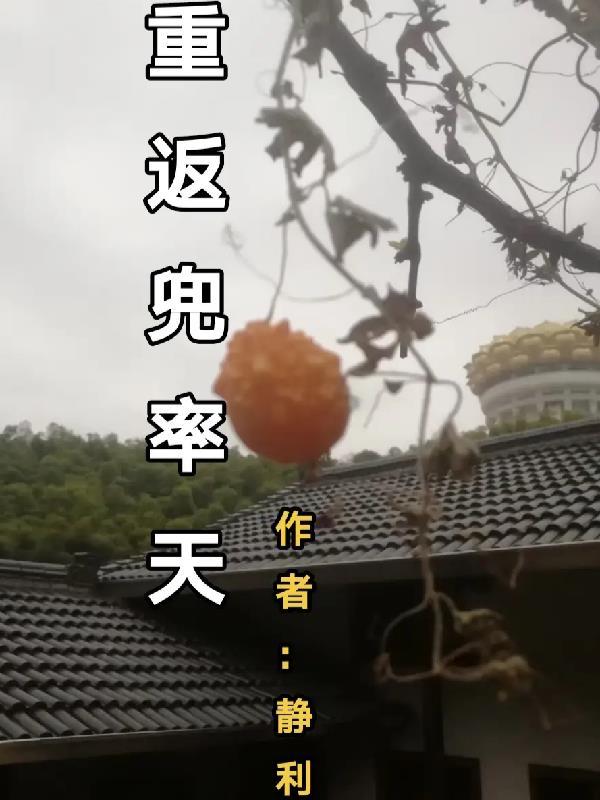 重返兜率天 静利 完本