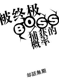 终极boss多少钱