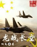 龙战长空免费txt