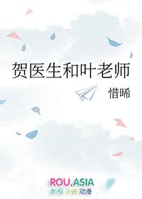 贺医生和叶老师作者惜晞全文免费阅读