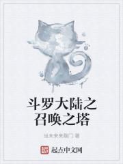 斗罗大陆之召唤师匠气