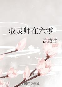 驭灵师在六零作者凉故生