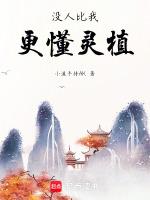 没人比我更懂分解笔趣阁