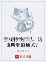 游戏邪道是什么意思