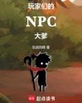 “玩家与npc的二三事”