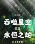 吞噬星空之永恒不灭笔趣阁