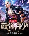 都市之最强弃少叶风免费完结版