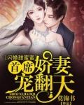 闪婚甜蜜蜜首席娇妻宠翻天完整版