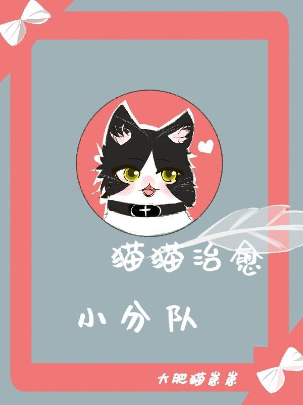 猫咪治愈短片