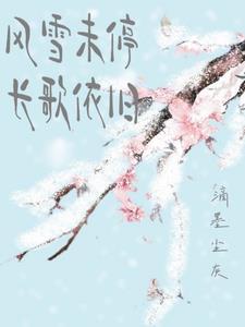 歌曲风雪