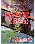 新世界1620全本txt