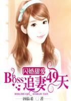 boss甜宠闪婚妻全文免费阅读