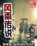 nds风雨传说好玩吗