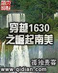 穿越1630之崛起南美为什么没了?