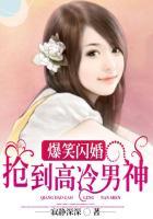 闪婚高冷男神大结局是什么