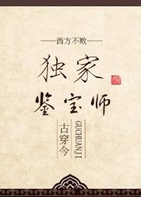 鉴宝宗师笔趣阁