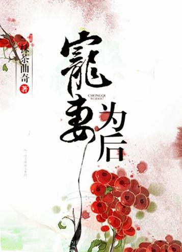 宠妻为后讲的什么