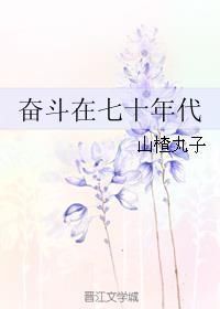 七十年代奋斗记沈家树结局