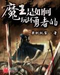 魔王と魔王と勇者と魔王攻略