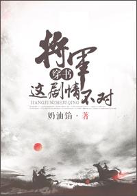 将军 这剧情不对