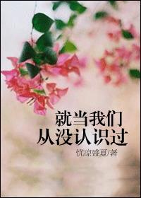 就当我们从没认识过旧版txt