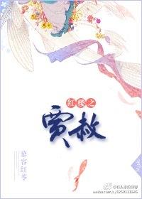 红楼梦第17回