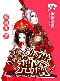 冷王邪妃之倾世神偷 筱玥儿