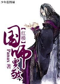 红楼国师贾敬作者Panax