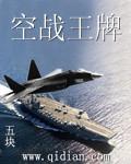 王牌战机空战