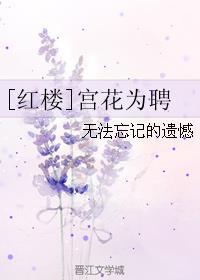 红楼宫花为聘TXT