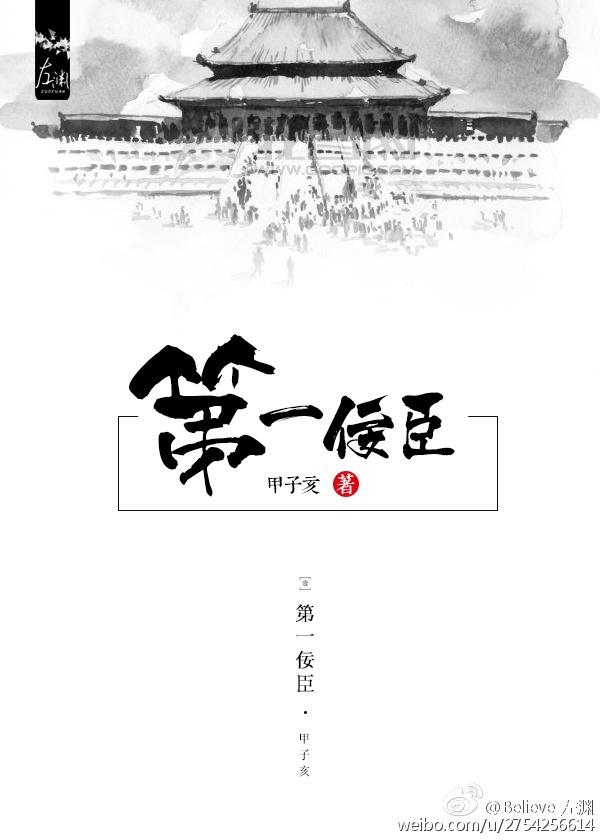 第一佞臣甲子亥写的什么玩意