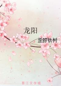 龙阳天武大陆