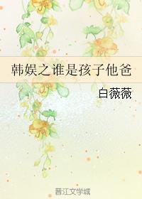 韩娱之谁是孩子他爸百度