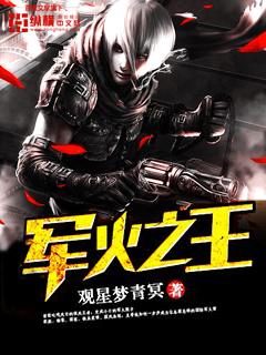 军火之王无删减版