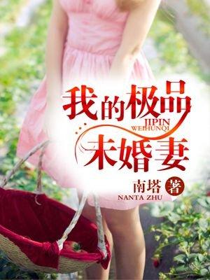 我的极品未婚妻