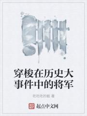 穿梭在历史大事件中的将军