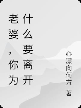 老婆，你为什么要离开